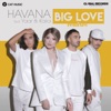 Big Love (feat. Yaar & Kaiia) [Remixes] - Single