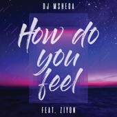 How Do You Feel (feat. Ziyon) artwork