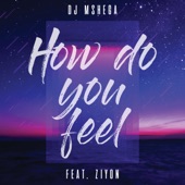 DJ Mshega - How Do You Feel (feat. Ziyon)