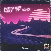 Never Let It Go artwork