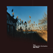 To Build a Home (feat. Patrick Watson) - The Cinematic Orchestra