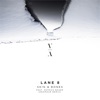 Lane 8 - Skin & Bones (feat. Patrick Baker)