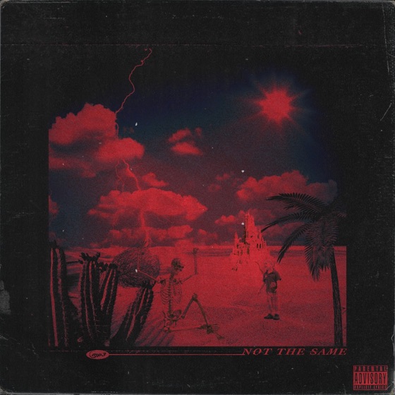 Cover artwork for Not the Same