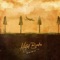Alcoholocaust - Hotel Books lyrics