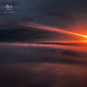 Not Ur Friend - Single