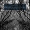 JACK Quartet, Steven Beck, Russell Lacy - Through the Mangrove Tunnels: VIII. Floating Away
