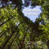 La Persona de Mi Vida (feat. Dave Pineda) - Single