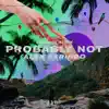 Probably Not (Diviners Remix) - Single album lyrics, reviews, download
