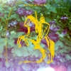 Westerman - Drawbridge (Unknown Mortal Orchestra Remix)