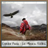 Condor Pasa - La Música Andina