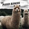 March 30, 2020: National Doctors' Day - The Pissed Alpacas lyrics