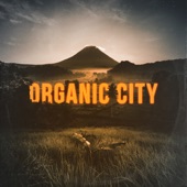 Organic City artwork