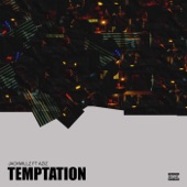 Temptation (feat. Aziz) artwork