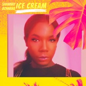 Ice Cream (Remix) artwork