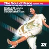 The Soul of Disco Vol.2 compiled by Joey Negro & Sean P, 2006