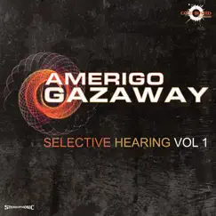 Selective Hearing, Vol. 1 by Amerigo Gazaway album reviews, ratings, credits