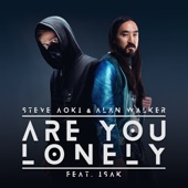 Are You Lonely (feat. ISÁK) artwork