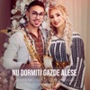 Nu Dormiti Gazde Alese (feat. Claudia Puican) - Single