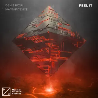 Feel It by Deniz Koyu & Magnificence song reviws