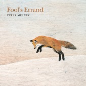 Peter Mulvey - Fool's Errand