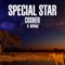 Special Star (feat. Niyaaz) artwork
