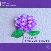 Justin Martin, Dalilah & Tchami - Stay (feat. Dalilah) [Tchami Remix] artwork