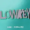 Lowkey - Single album lyrics, reviews, download