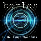 Bu Ne Dünya Kardeşim artwork