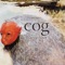 Are You Interested? - Cog lyrics