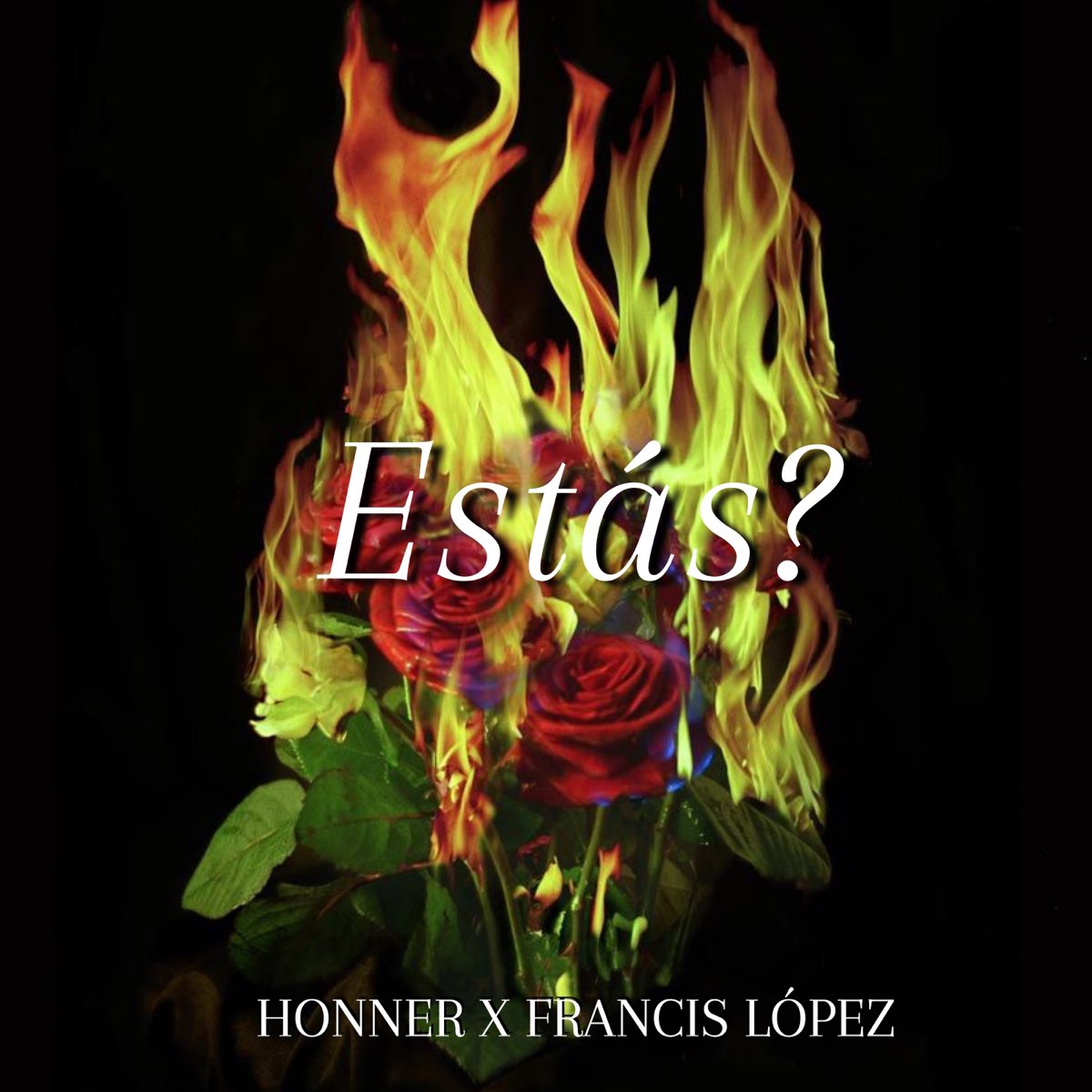 сжигание цветов. сжигание цветов. горящий костер. горящий цветок эстетика. сожженный цветок.