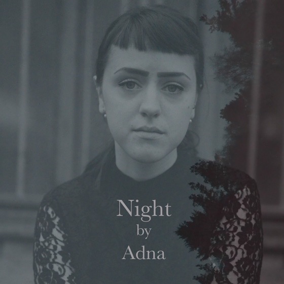Cover artwork for Dreamer