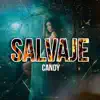 Salvaje: candy (feat. macafi, jean k real & Luis D Baby) - Single album lyrics, reviews, download