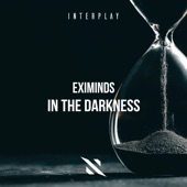 In the Darkness (Extended Mix) artwork