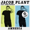 Amnesia (feat. James Newman) [Majestic Remix] - Single