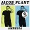 Amnesia (feat. James Newman) [Majestic Remix] - Jacob Plant lyrics