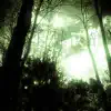 Beautiful Toxic Forest album lyrics, reviews, download