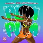 Pum Pum artwork