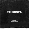 Te Gusta - Single