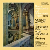 Bach: Orgelwerke auf Silbermannorgeln 15/16 artwork