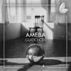 Ameba - Single album lyrics, reviews, download