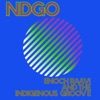 Ndgo - Single