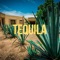 Tequila - G Slicka lyrics
