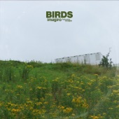Birds (feat. Delayde) artwork