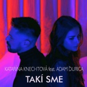 TAKÍ SME (feat. Adam Ďurica) artwork