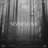 Never Leave artwork