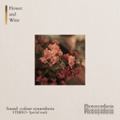 Flower and Wine (Photosynthesis Version) artwork