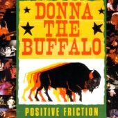 Donna The Buffalo - Family Picture