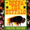 Yonder - Donna the Buffalo lyrics