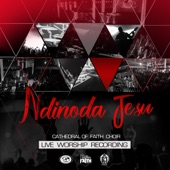 Ndinoda Jesu (Live) artwork