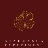 Ayahuasca Experiment artwork